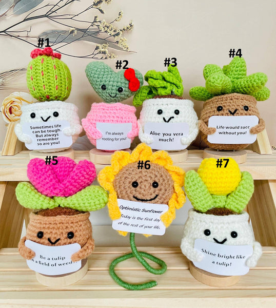 Crochet Cactus Succulent Plant Emotional Support