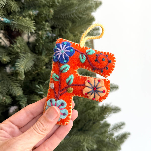 Ornaments 4 Orphans - Colorful Letter Ornament Bundle FTWXYZ, 6 Pack