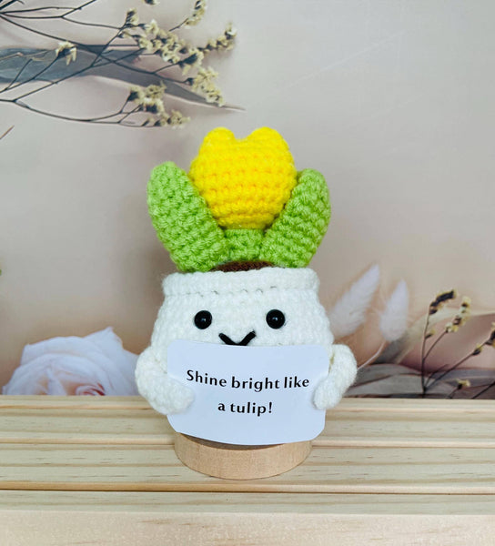 Crochet Cactus Succulent Plant Emotional Support
