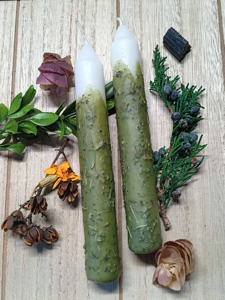 Elemental Earth Shop - Money Herbal Intention Candles