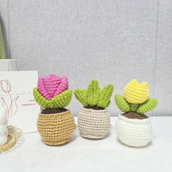 TOMOPOD LLC - Handmade Crochet Daisy/Succulent/Cactus, Emotional Plant