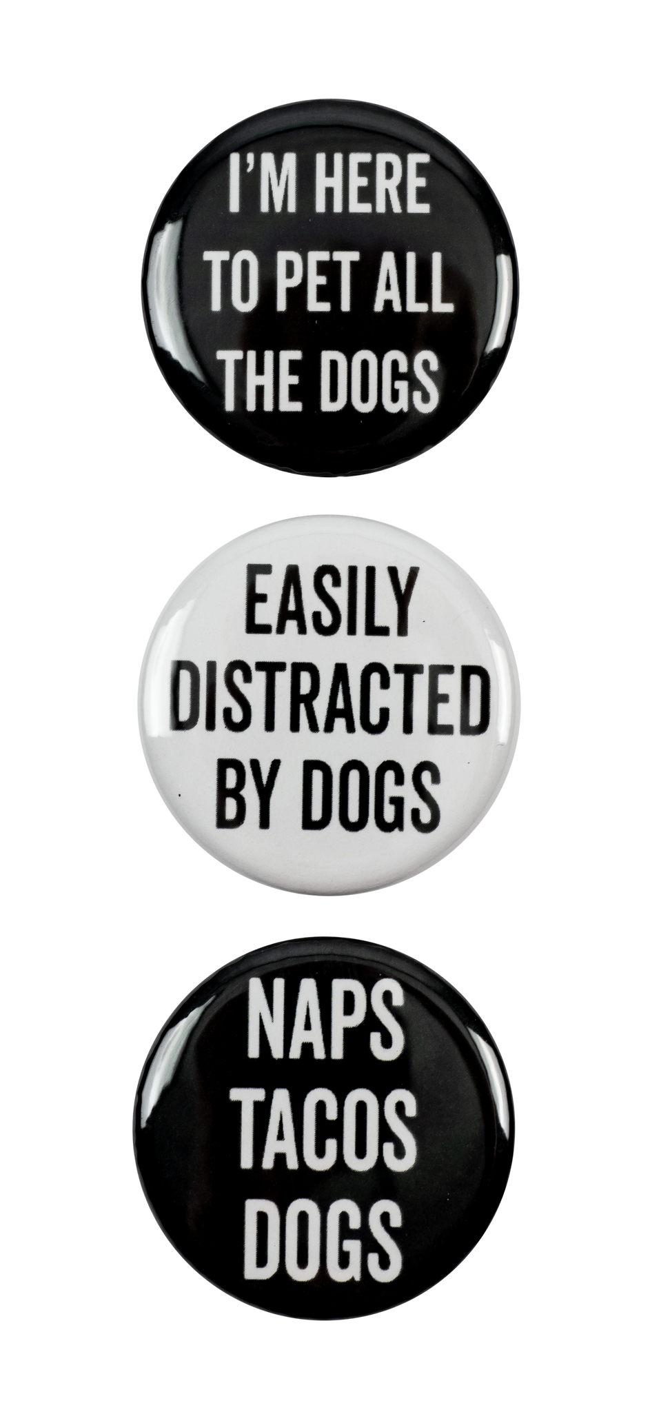 SNARK CITY - I'm Here To Pet All The Dogs Magnets - Set of 3