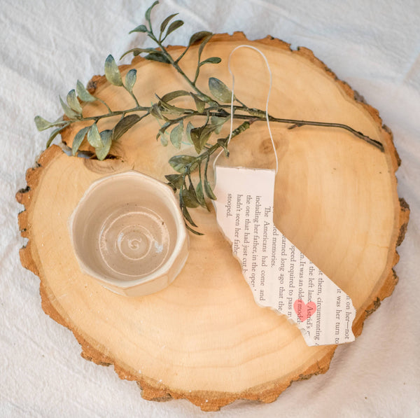 Root To Vine - State Ornament Christmas-Eco Friendly Ornaments-Bookish Gift