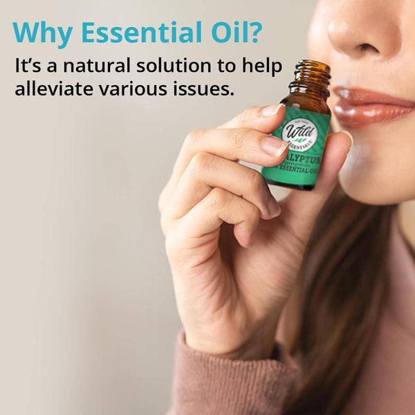 Wild Essentials - Essential Oil - Ginger - 10 ml Bottle