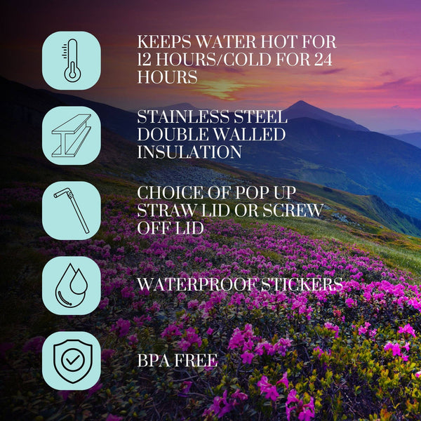 Track Your Adventures - 50 States Water Bottle with Stickers