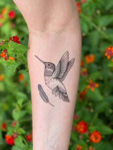 NatureTats - Hummingbird Temporary Tattoo