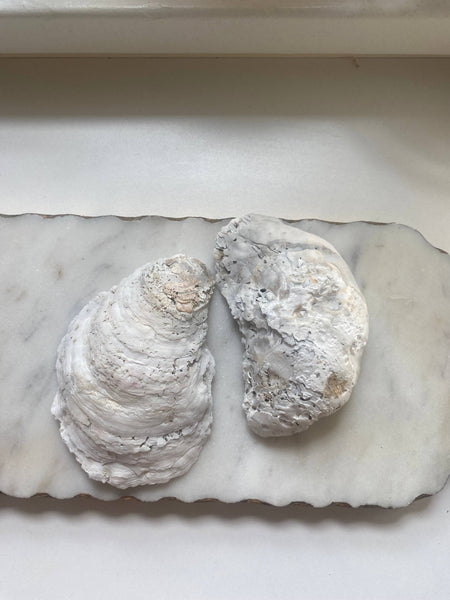 Del Mar Designs DC - Blue Porcelain Oyster Shell Jewelry Dish