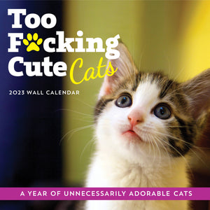 Sourcebooks - 2023 Too F*cking Cute Cats Wall Calendar