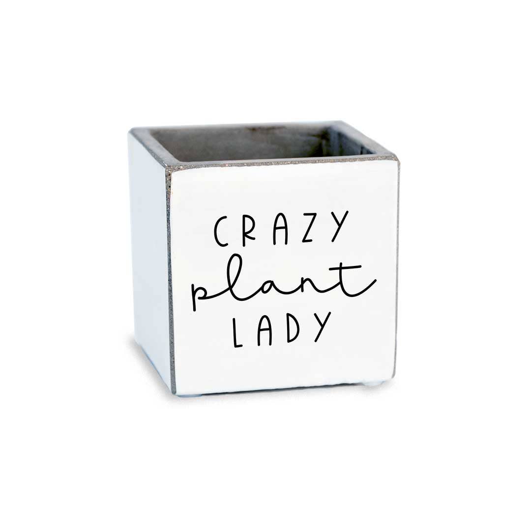 Pinetree Innovations - Crazy Plant Lady | Succulent Pot