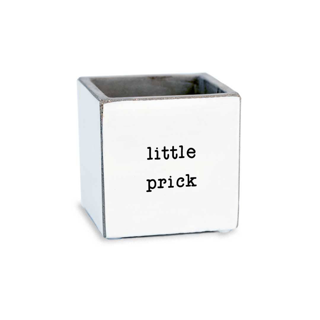 Pinetree Innovations - Little Prick | Succulent Pot