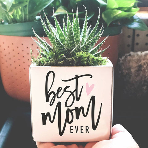 Pinetree Innovations - Best Mom Ever | Succulent Pot