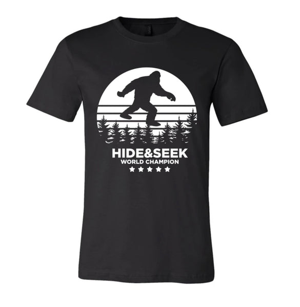 HIDE AND SEEK CHAMPION
