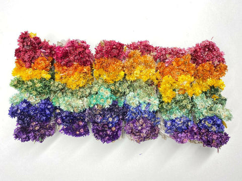 Love&Lust LLC - 7 Chakra Sinuata Flower White Sage 4" Organic Grown in Cali