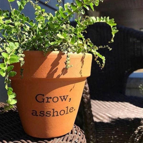 Buffalovely - Grow, A-Hole Terra Cotta Flower Pot